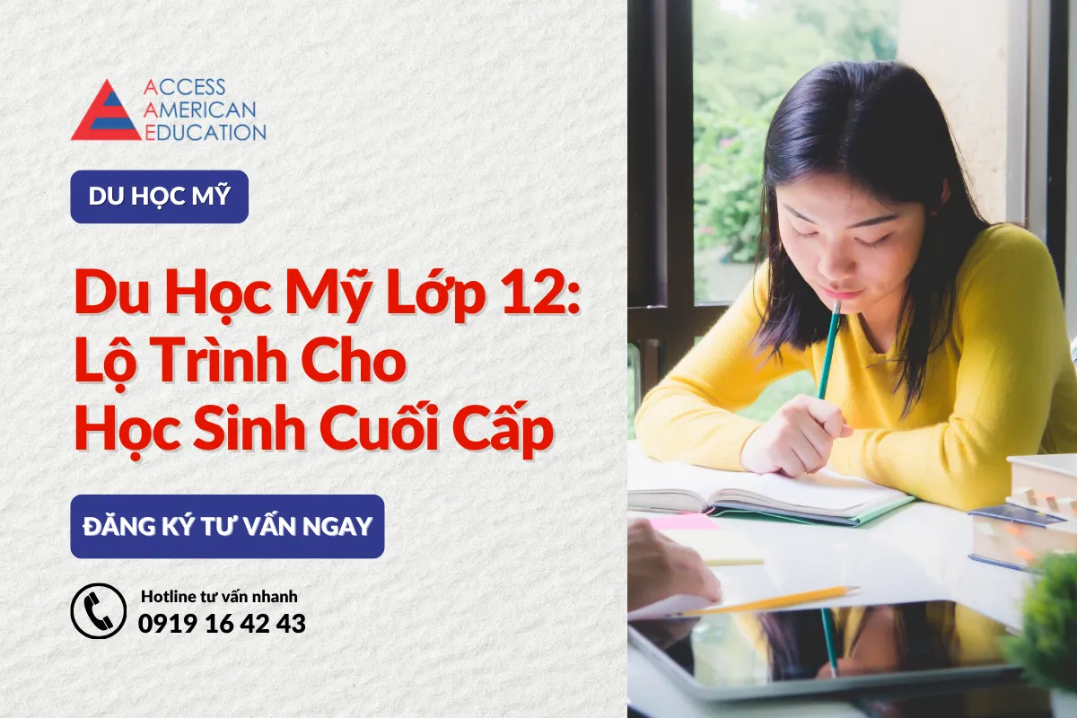 Du Học Mỹ Lớp 12: Lộ Trình Nước Rút Cho Học Sinh Cuối Cấp