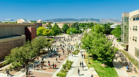 Colorado State University campus
