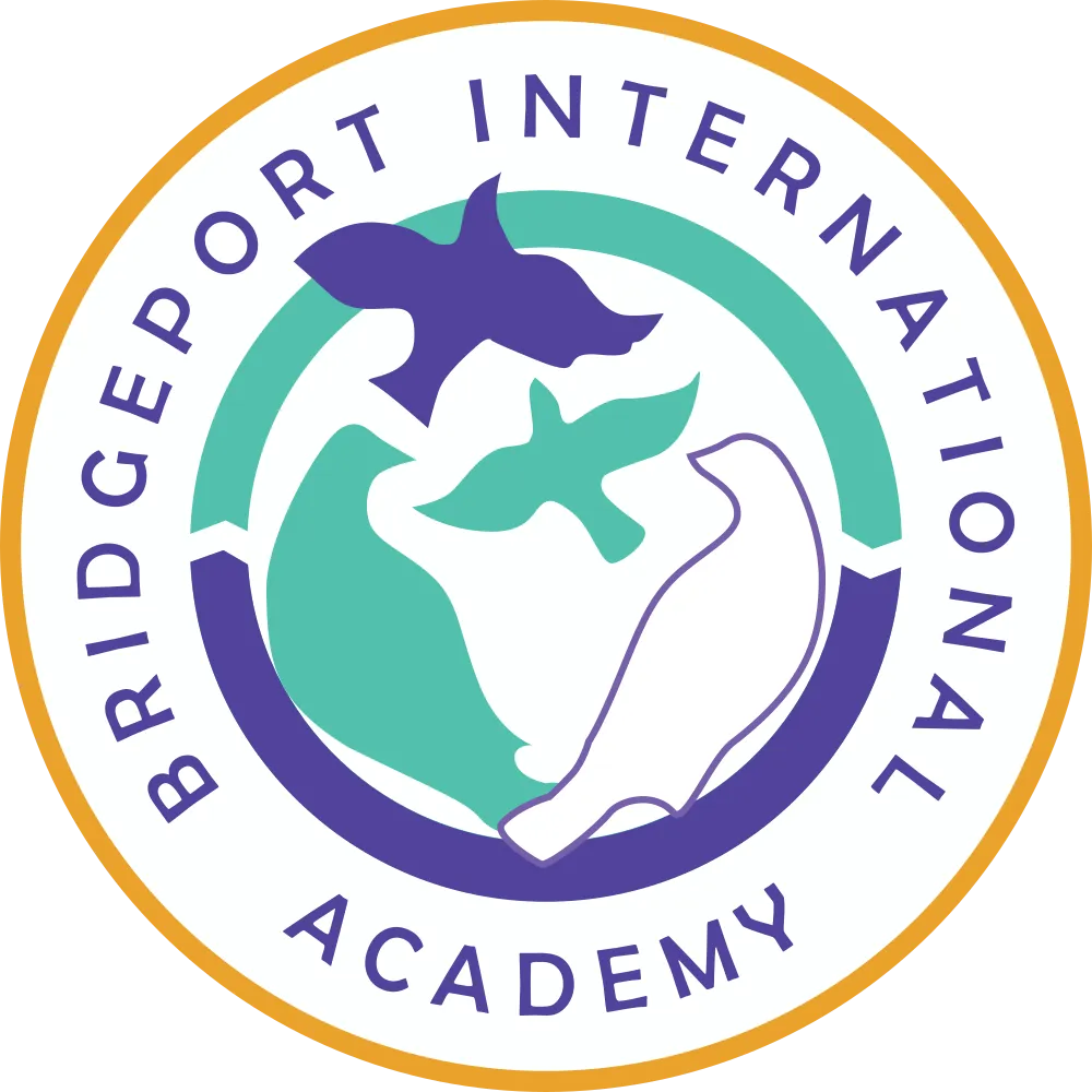 Bridgeport International Academy
