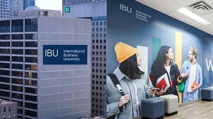 International Business University